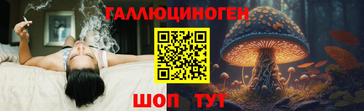 Галлюциногенные грибы Psilocybine cubensis  Галлюциногенные грибы Psilocybine cubensis  Верхний Уфалей  Вход с VPN 